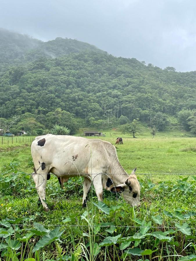 Aldeia De Camburi 호텔 캄부리 외부 사진