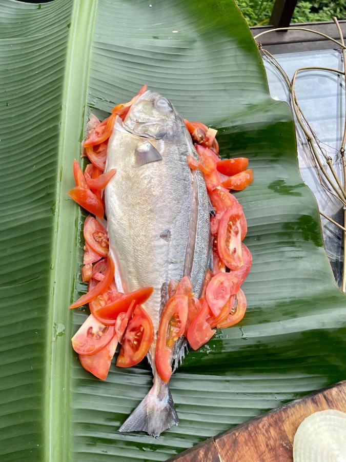 Aldeia De Camburi 호텔 캄부리 외부 사진